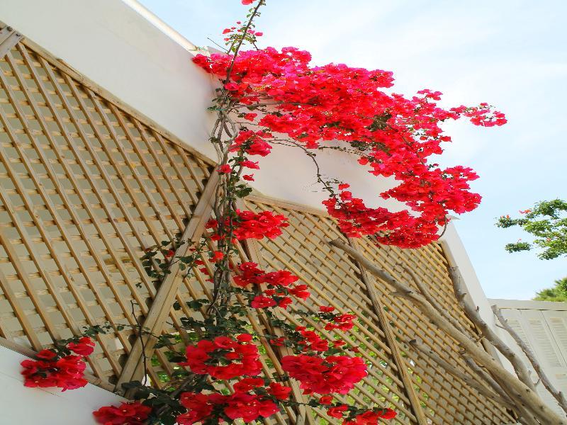Melody Studios Faliraki Exteriér fotografie